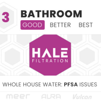 3 BATH: PFSA Issues (Good)